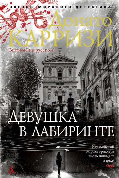 Обложка книги  «Девушка в лабиринте»