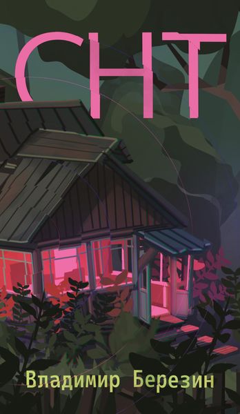 Обложка книги  «СНТ»