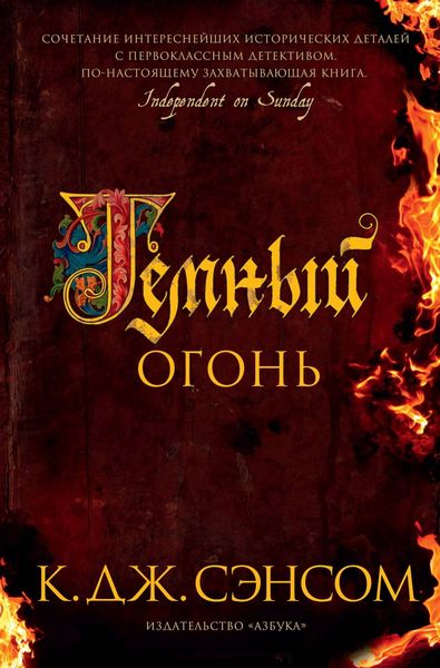 Обложка книги  «Темный огонь»