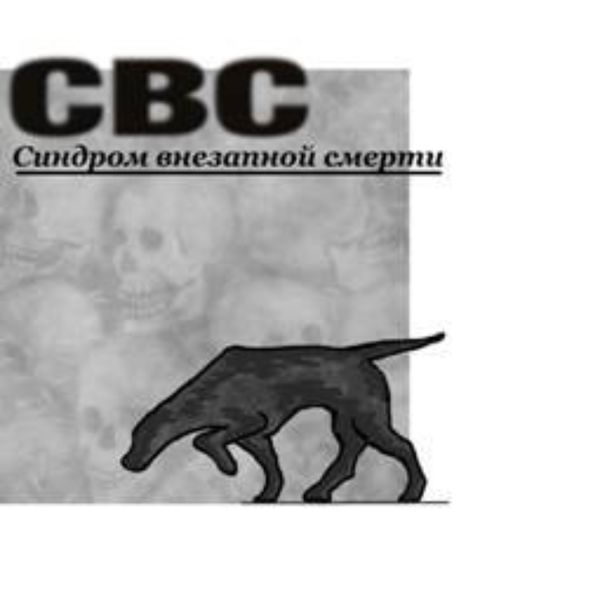 Обложка книги  «СВС (Синдром Внезапной Смерти)»