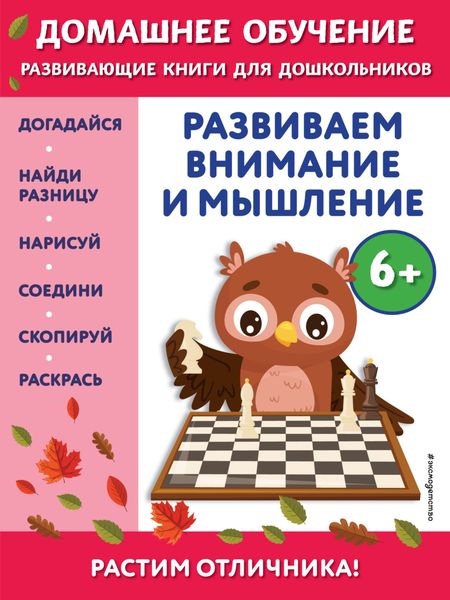 Обложка книги  «Развиваем внимание и мышление. Для детей от 6 лет»
