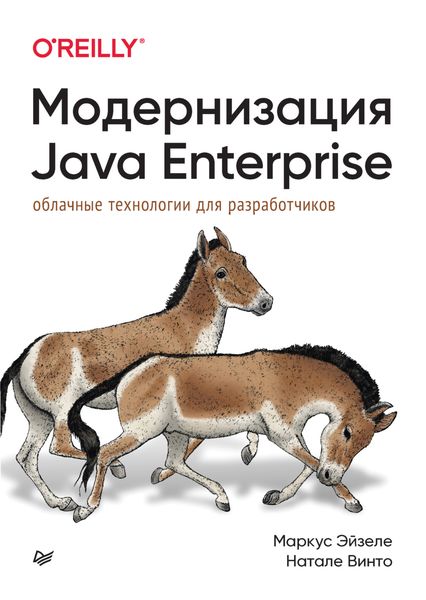 Обложка книги  «Модернизация Java Enterprise. Облачные технологии для разработчиков»