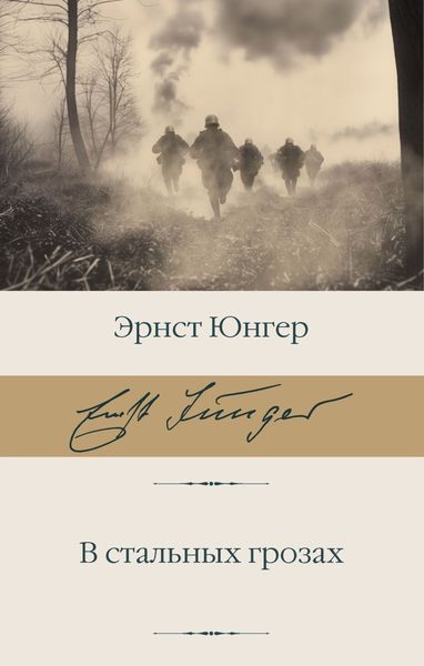 Обложка книги  «В стальных грозах»