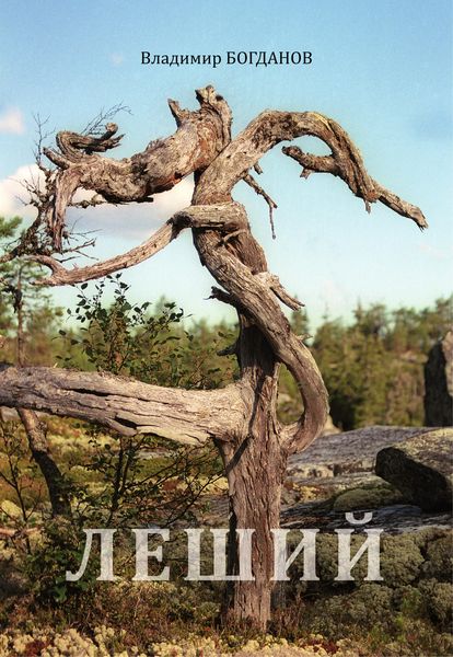 Обложка книги  «Леший»