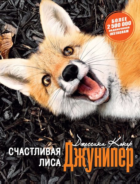 Обложка книги «Счастливая лиса Джунипер»