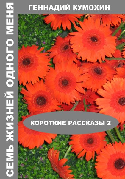 Обложка книги  «Семь жизней одного меня. Короткие рассказы 2»