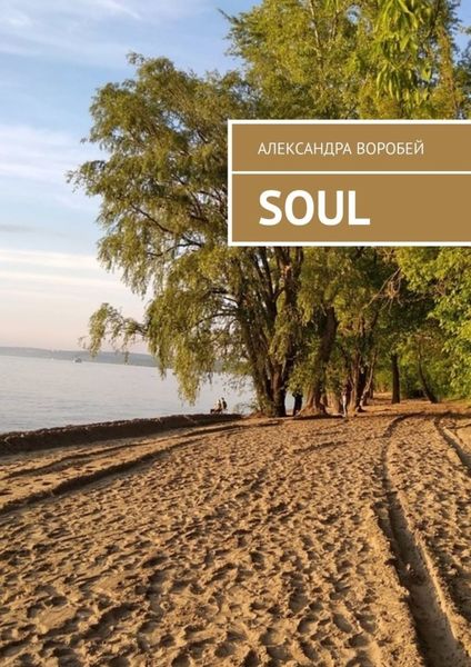 Обложка книги  «Soul»