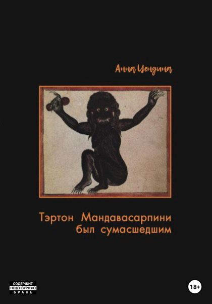 Обложка книги  «Тэртон Мандавасарпини был сумасшедшим»