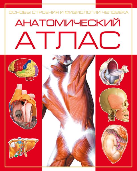 Обложка книги  «Анатомический атлас. Основы строения и физиологии человека»