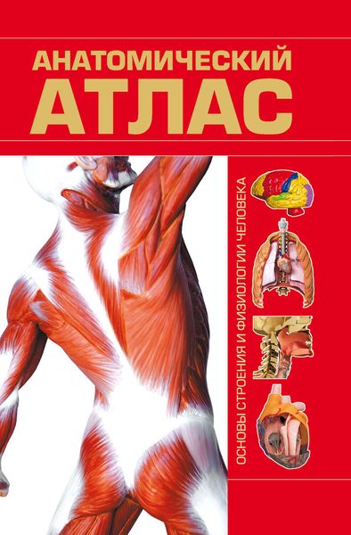 Обложка книги «Анатомический атлас»