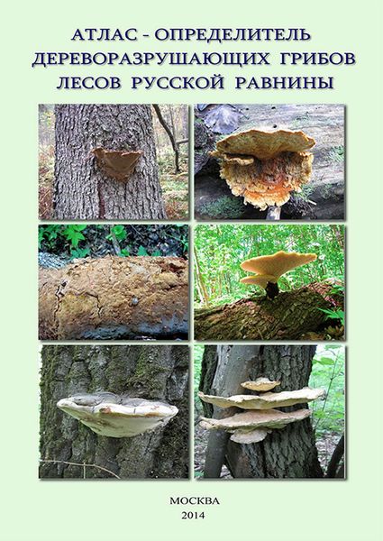 Обложка книги  «Атлас-определитель дереворазрушающих грибов лесов Русской равнины»