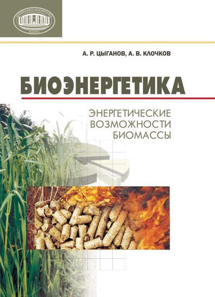 Обложка книги  «Биоэнергетика. Энергетические возможности биомассы»