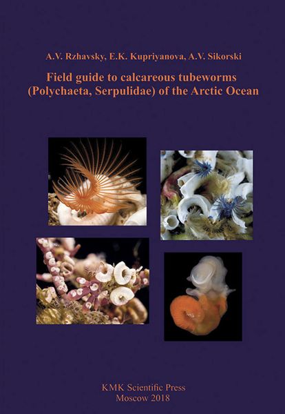 Обложка книги  «Field guide to calcareous tubeworms (Polychaeta, Serpulidae) of the Arctic Ocean»