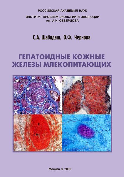 Обложка книги  «Гепатоидные кожные железы млекопитающих»