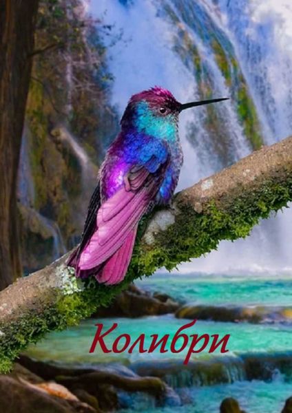 Обложка книги «Колибри»