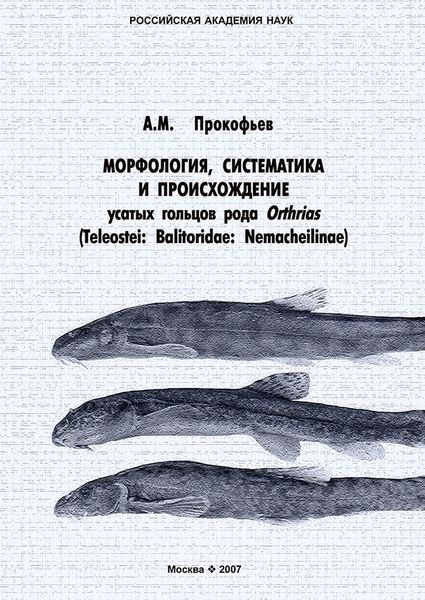 Обложка книги  «Морфология, систематика и происхождение усатых гольцов рода Orthrias (Teleostei: Balitoridae: Nemacheilinae)»