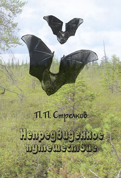 Обложка книги  «Непредвиденное путешествие»