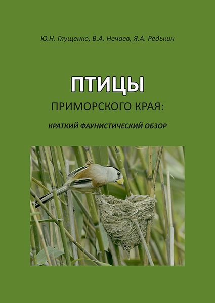 Обложка книги  «Птицы Приморского края: краткий фаунистический обзор»