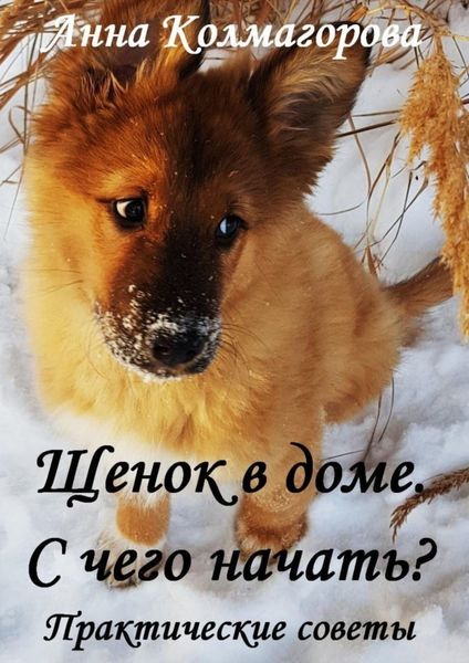 Обложка книги  «Щенок в доме. С чего начать? Практические советы»