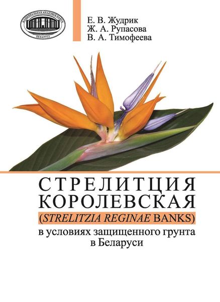 Обложка книги  «Стрелитция королевская (Strelitzia reginae Banks) в условиях защищенного грунта в Беларуси»