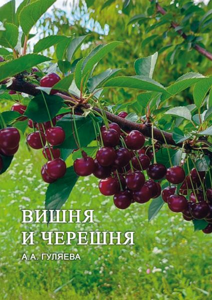 Обложка книги  «Вишня и черешня»