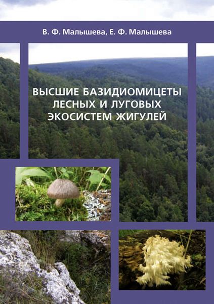 Обложка книги  «Высшие базидиомицеты лесных и луговых экосистем Жигулей»