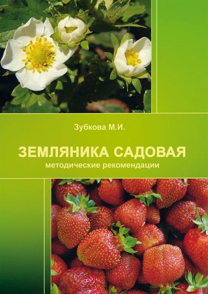 Обложка книги  «Земляника садовая (методические рекомендации)»
