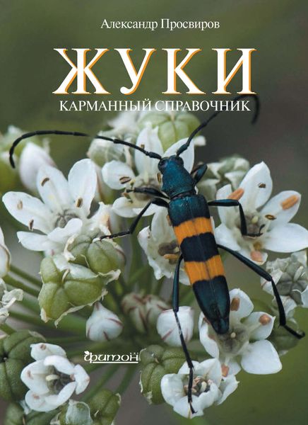 Обложка книги  «Жуки»
