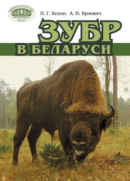 Обложка книги «Зубр в Беларуси»