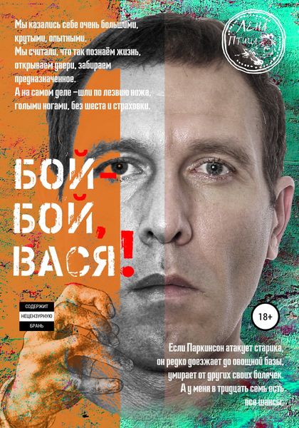 Обложка книги «Бой-бой, Вася!»
