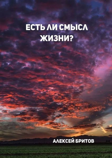 Обложка книги  «Есть ли смысл жизни?»