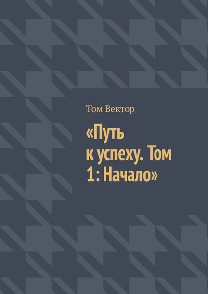 Обложка книги  «Путь к успеху. Том 1: Начало»