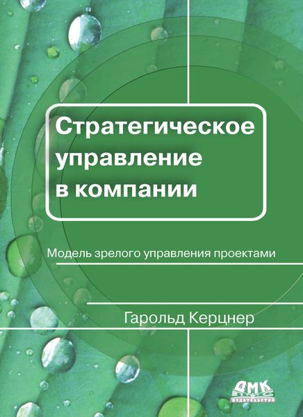 Обложка книги  «Стратегическое управление в компании»