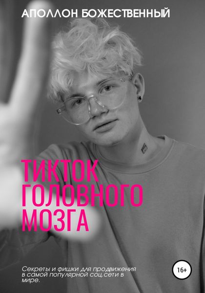 Обложка книги  «TikTok головного мозга. Секреты и фишки для продвижения и заработка в самой популярной социальной сети»