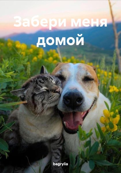 Обложка книги «Забери меня домой»