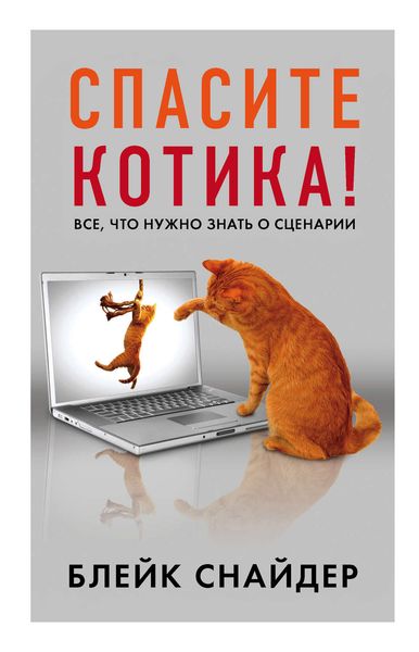 Обложка книги  «Спасите котика!»