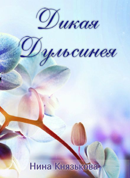 Обложка книги  «Дикая Дульсинея»