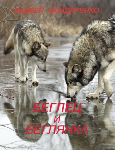 Обложка книги  «Беглец и Беглянка»