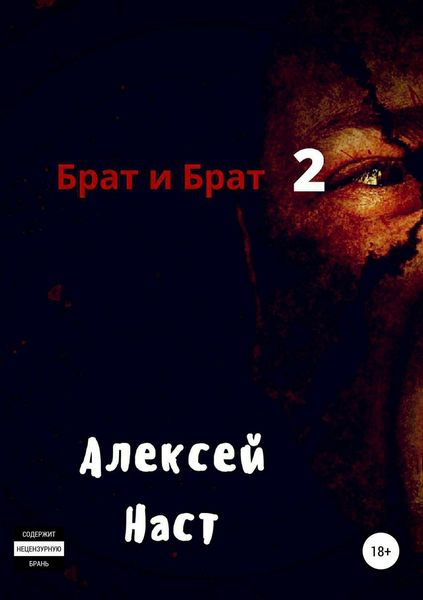 Обложка книги  «Брат и Брат 2»