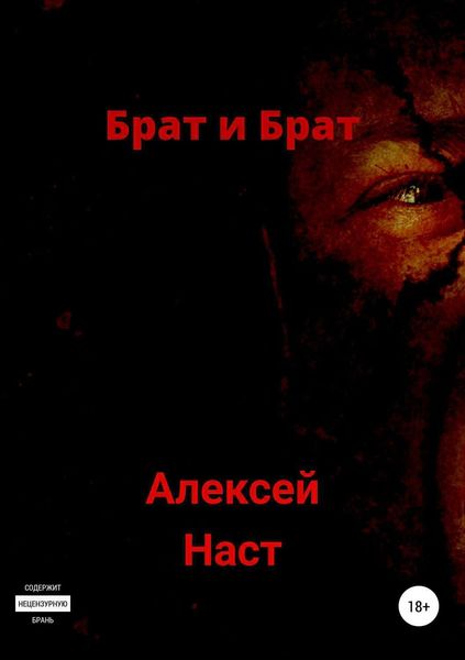 Обложка книги  «Брат и Брат»