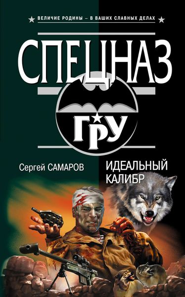 Обложка книги  «Идеальный калибр»