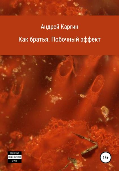 Обложка книги  «Как братья. Побочный эффект»