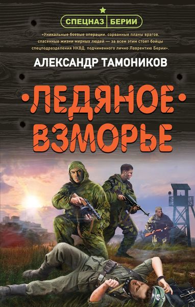 Обложка книги  «Ледяное взморье»