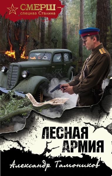Обложка книги «Лесная армия»