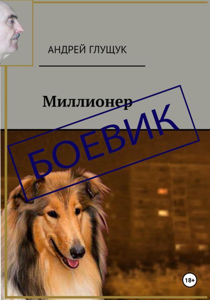 Обложка книги «Миллионер»