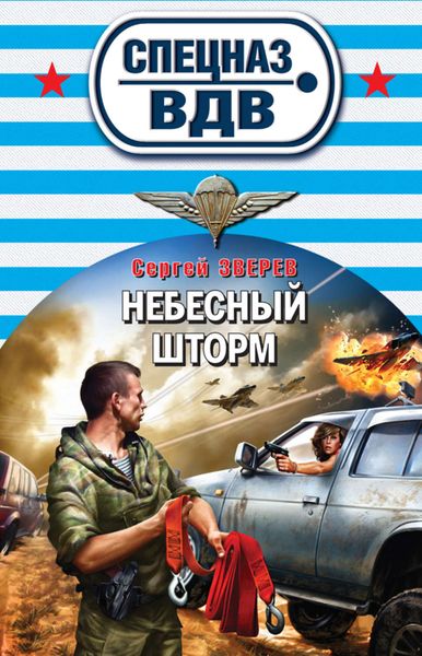 Обложка книги  «Небесный шторм»