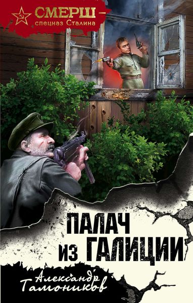 Обложка книги  «Палач из Галиции»