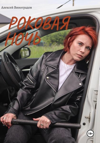 Обложка книги  «Роковая ночь»