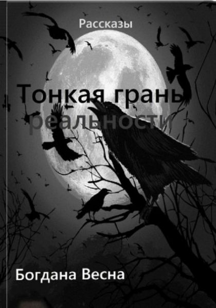 Обложка книги  «Тонкая грань реальности»