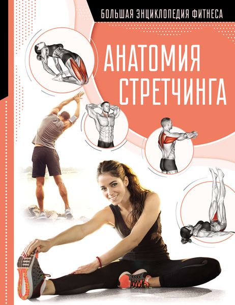 Обложка книги  «Анатомия стретчинга»